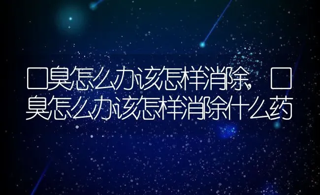 口臭怎么办该怎样消除,口臭怎么办该怎样消除什么药 | 宠物百科知识