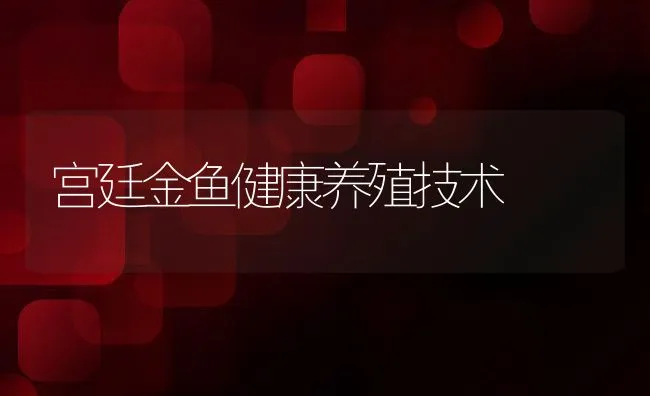 宫廷金鱼健康养殖技术 | 动物养殖饲料