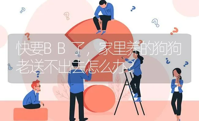 快要BB了，家里养的狗狗老送不出去怎么办？ | 动物养殖问答