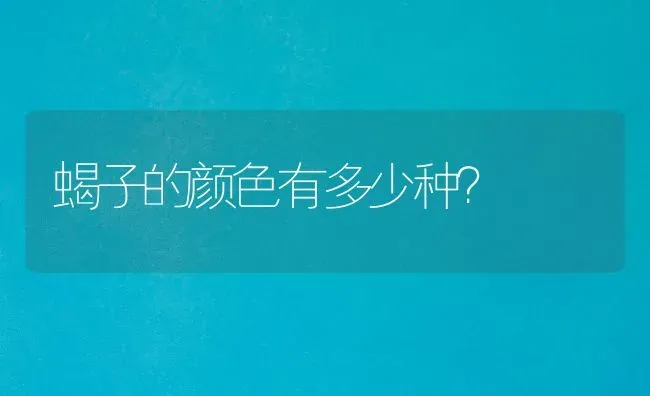 雪纳瑞小体与超小体区别？ | 动物养殖问答