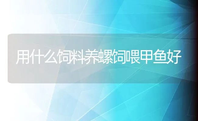 用什么饲料养螺饲喂甲鱼好 | 动物养殖饲料