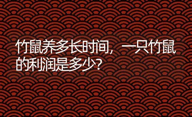 竹鼠养多长时间，一只竹鼠的利润是多少？ | 动物养殖百科