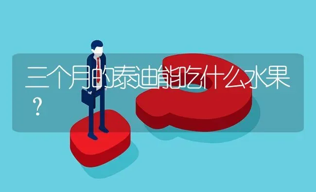 三个月的泰迪能吃什么水果？ | 动物养殖问答