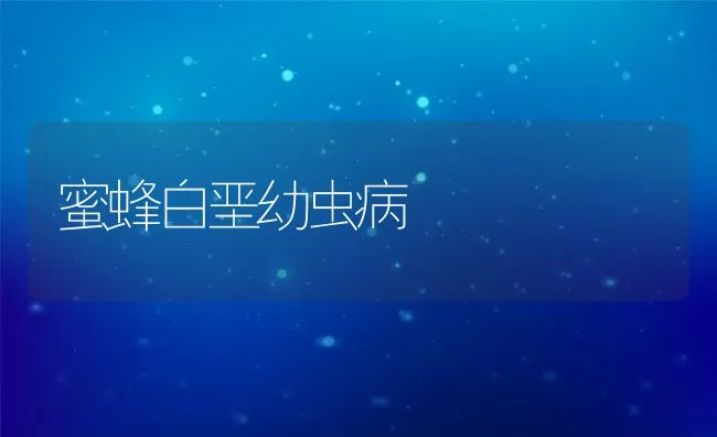 蜜蜂白垩幼虫病 | 水产养殖知识