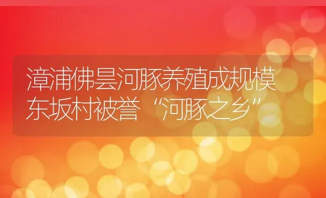 漳浦佛昙河豚养殖成规模 东坂村被誉“河豚之乡” | 动物养殖教程