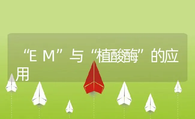 “EM”与“植酸酶”的应用 | 动物养殖饲料