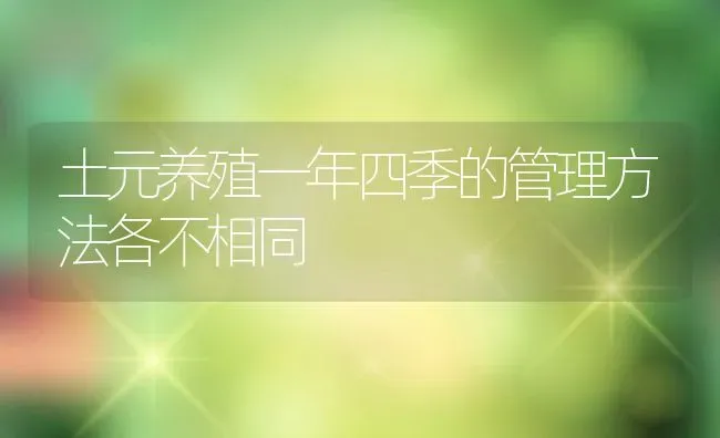 土元养殖一年四季的管理方法各不相同 | 动物养殖教程