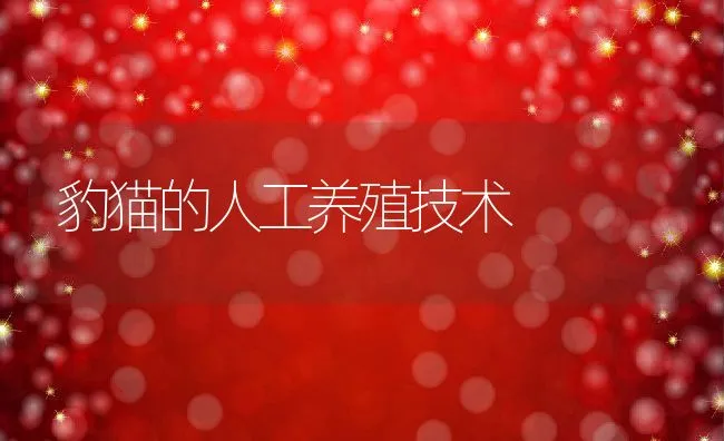 豹猫的人工养殖技术 | 动物养殖学堂
