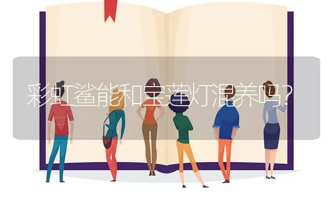 彩虹鲨能和宝莲灯混养吗？ | 鱼类宠物饲养