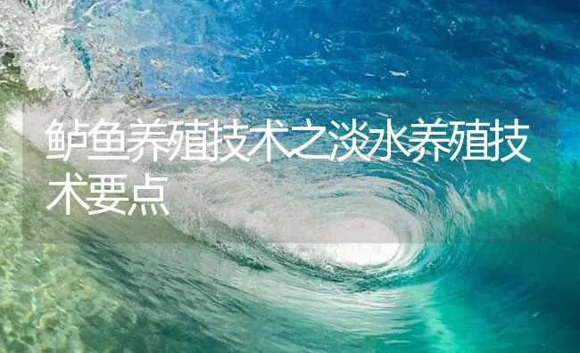 鲈鱼养殖技术之淡水养殖技术要点 | 海水养殖技术