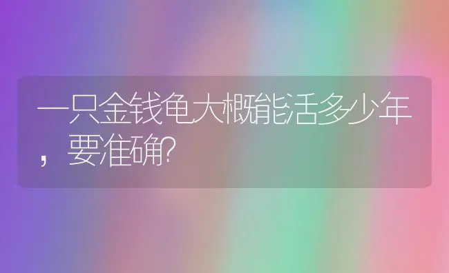 一只金钱龟大概能活多少年，要准确？ | 动物养殖问答