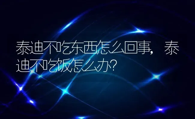 泰迪不吃东西怎么回事,泰迪不吃饭怎么办？ | 宠物百科知识