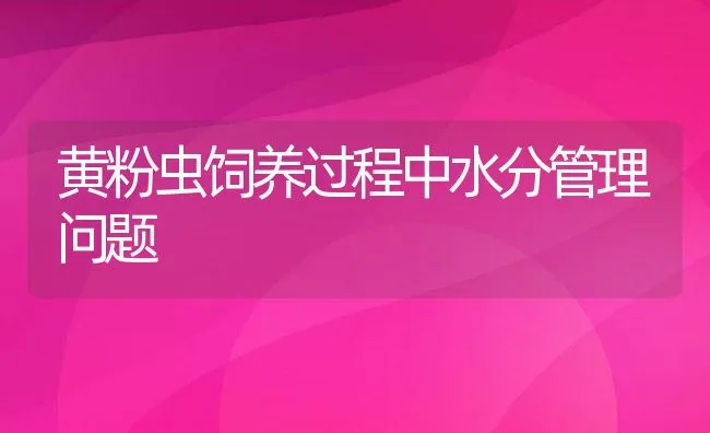 黄粉虫饲养过程中水分管理问题 | 水产养殖知识