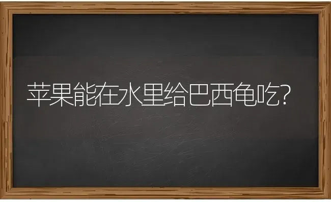 苹果能在水里给巴西龟吃？ | 动物养殖问答