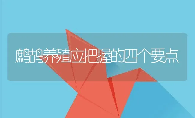 鹧鸪养殖应把握的四个要点 | 动物养殖学堂