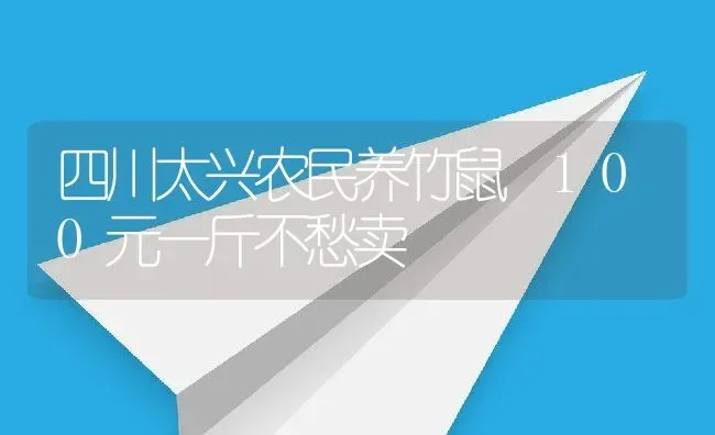 四川太兴农民养竹鼠 100元一斤不愁卖 | 动物养殖教程