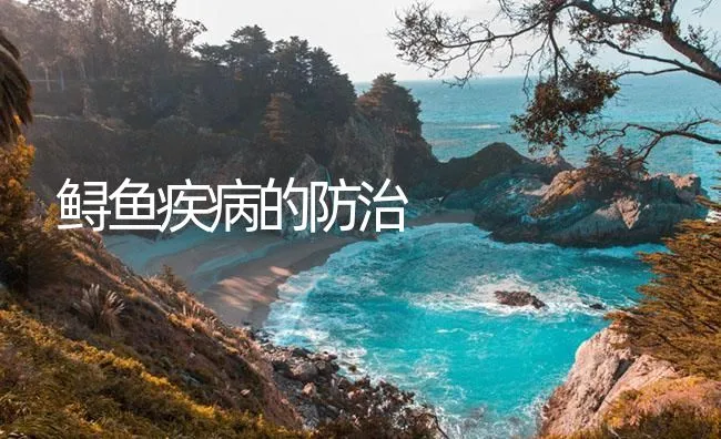 鲟鱼疾病的防治 | 海水养殖技术