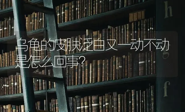 乌龟的皮肤泛白又一动不动是怎么回事？ | 动物养殖问答