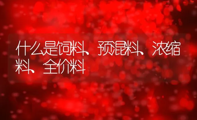 什么是饲料、预混料、浓缩料、全价料 | 动物养殖饲料