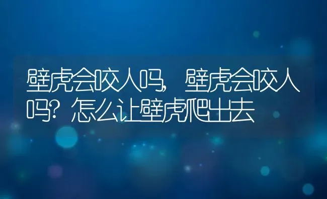 壁虎会咬人吗,壁虎会咬人吗?怎么让壁虎爬出去 | 宠物百科知识