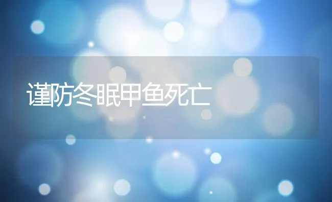 谨防冬眠甲鱼死亡 | 动物养殖饲料