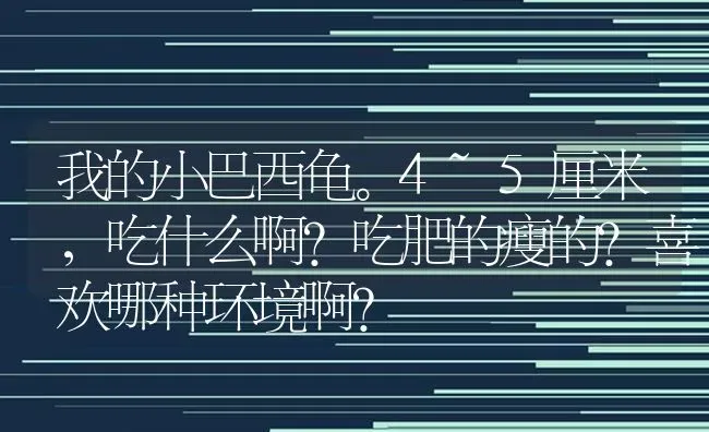 我的小巴西龟。4~5厘米，吃什么啊？吃肥的瘦的？喜欢哪种环境啊？ | 动物养殖问答