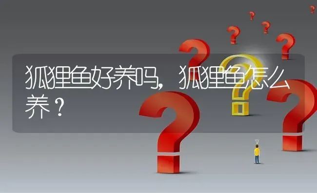 狐狸鱼好养吗，狐狸鱼怎么养？ | 鱼类宠物饲养