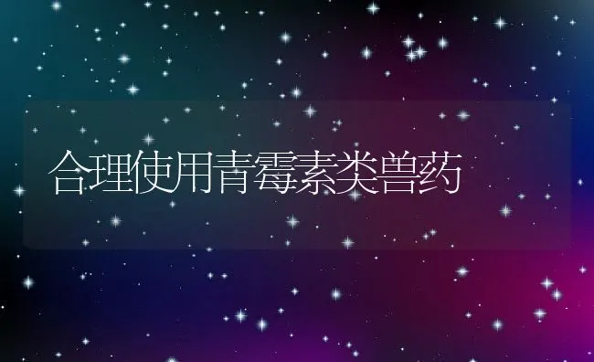 合理使用青霉素类兽药 | 动物养殖学堂