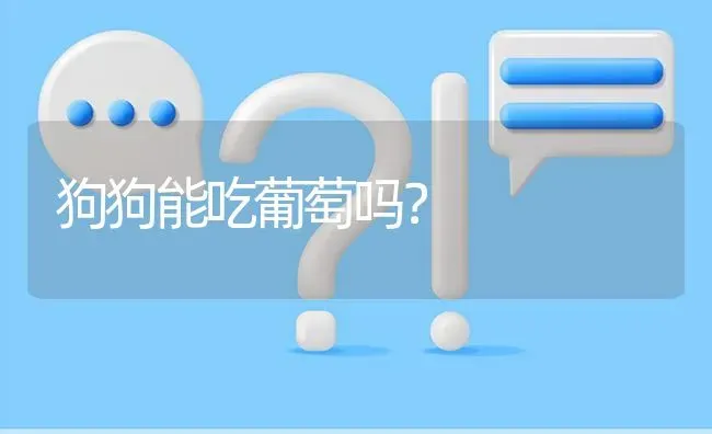 萨摩训练全套教程？ | 动物养殖问答