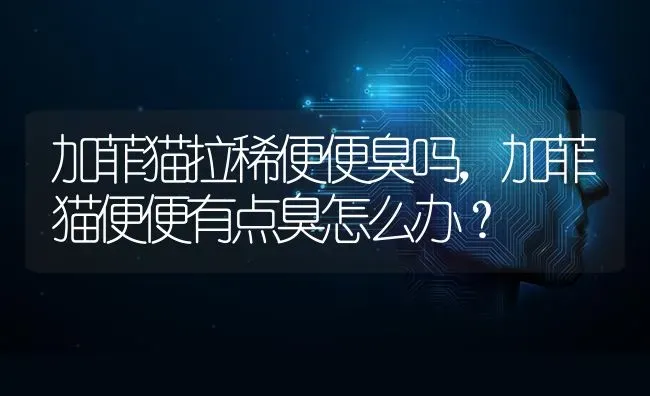 法国斗牛犬寿命是多少年，英斗寿命一般在10到12岁？ | 动物养殖问答