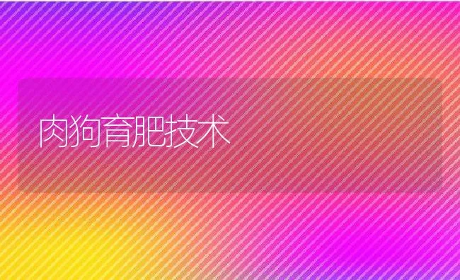 肉狗育肥技术 | 动物养殖学堂