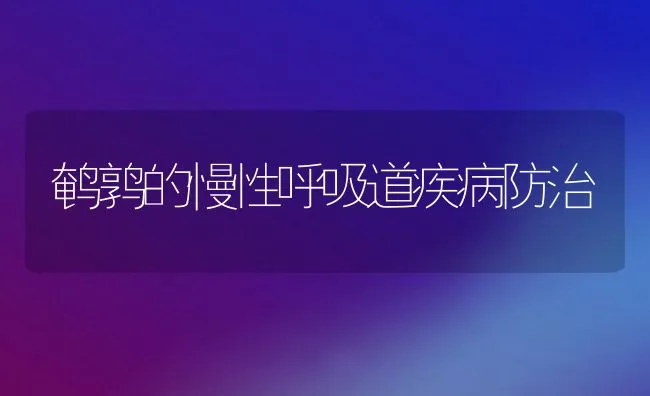 鹌鹑的慢性呼吸道疾病防治 | 水产养殖知识