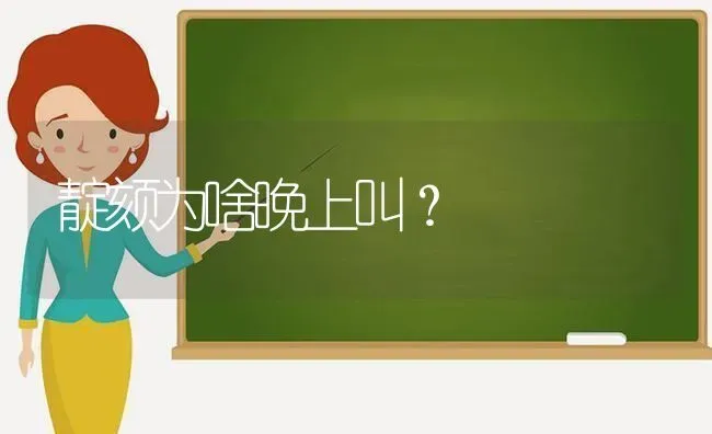 靛颏为啥晚上叫？ | 动物养殖问答