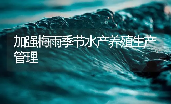 加强梅雨季节水产养殖生产管理 | 海水养殖技术