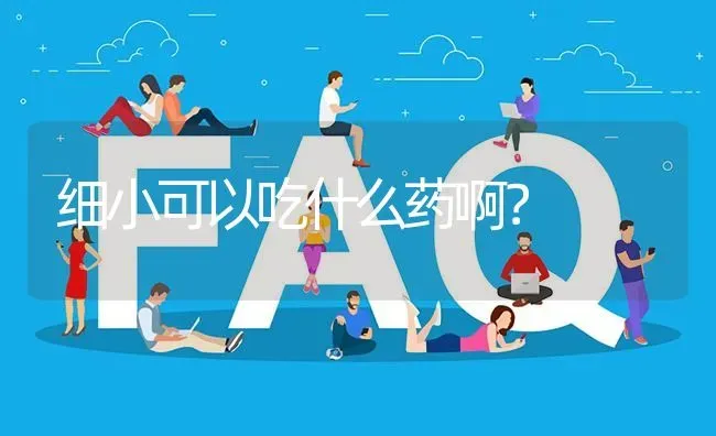 细小可以吃什么药啊？ | 动物养殖问答