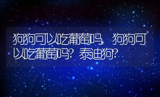 狗狗可以吃葡萄吗,狗狗可以吃葡萄吗?泰迪狗? | 宠物百科知识