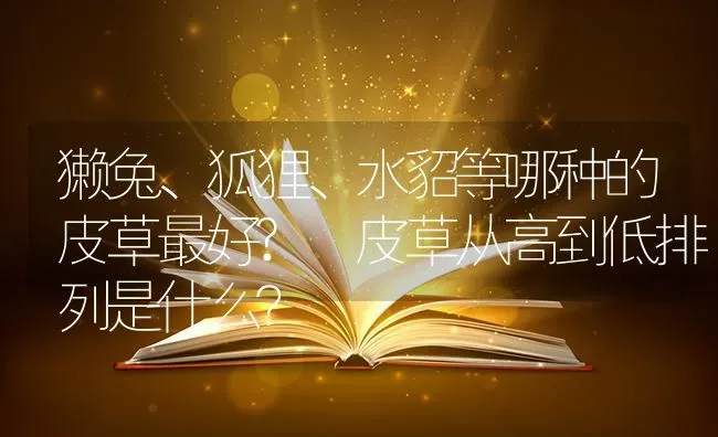 獭兔、狐狸、水貂等哪种的皮草最好? 皮草从高到低排列是什么？ | 动物养殖问答