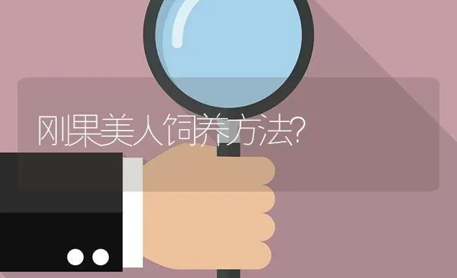 刚果美人饲养方法？ | 鱼类宠物饲养