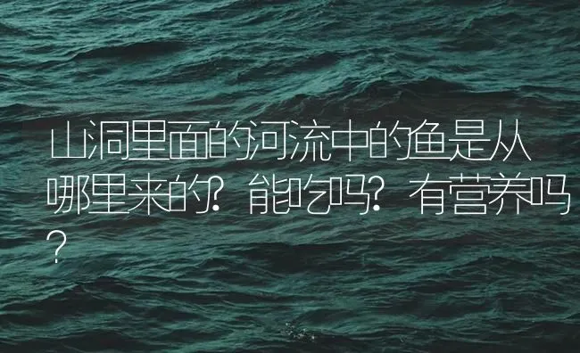 山洞里面的河流中的鱼是从哪里来的?能吃吗?有营养吗？ | 鱼类宠物饲养