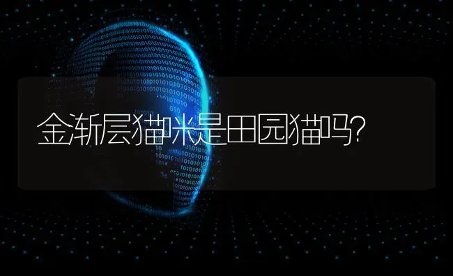 阿拉斯加是美国的岛吗？ | 动物养殖问答