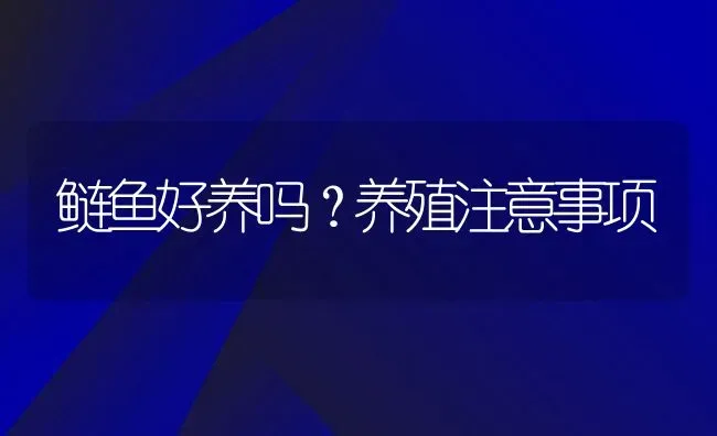 鲢鱼好养吗？养殖注意事项 | 动物养殖百科