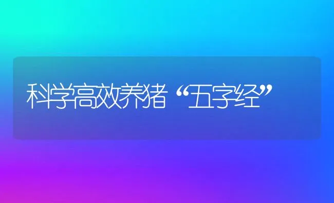 科学高效养猪“五字经” | 动物养殖饲料