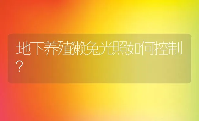 地下养殖獭兔光照如何控制？ | 水产养殖知识