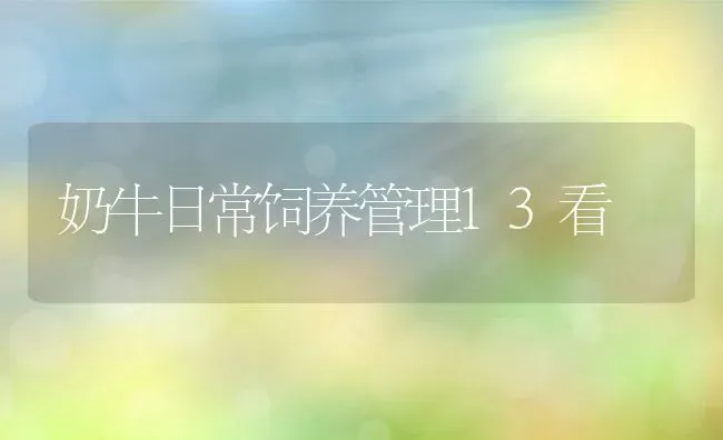 奶牛日常饲养管理13看 | 动物养殖教程