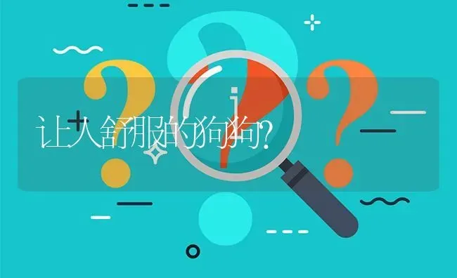 让人舒服的狗狗？ | 动物养殖问答