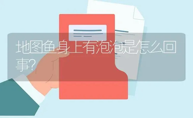 地图鱼身上有泡泡是怎么回事？ | 鱼类宠物饲养