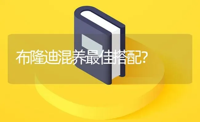 布隆迪混养最佳搭配？ | 鱼类宠物饲养