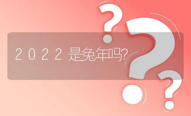 2022是兔年吗？ | 动物养殖问答