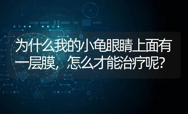 为什么我的小龟眼睛上面有一层膜，怎么才能治疗呢？ | 动物养殖问答