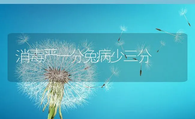 消毒严一分兔病少三分 | 水产养殖知识